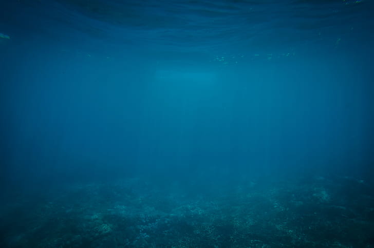 พื้นหลังภาพใต้น้ำ, วอลล์เปเปอร์ HD