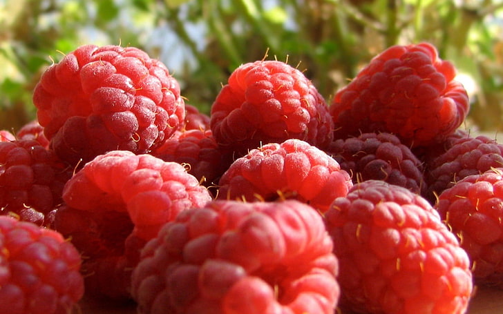 bunch of red fruits, raspberry, berry, sweet, ripe, HD wallpaper