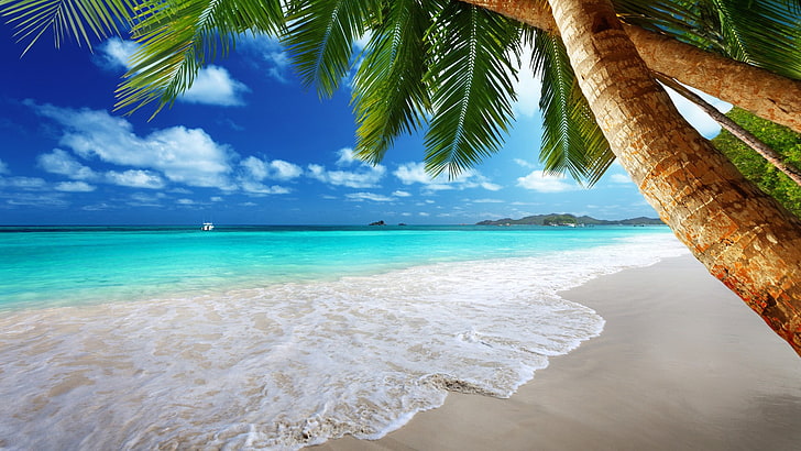 морски вълни и зелени кокосови дървета, плаж, палми, море, тропически, HD тапет