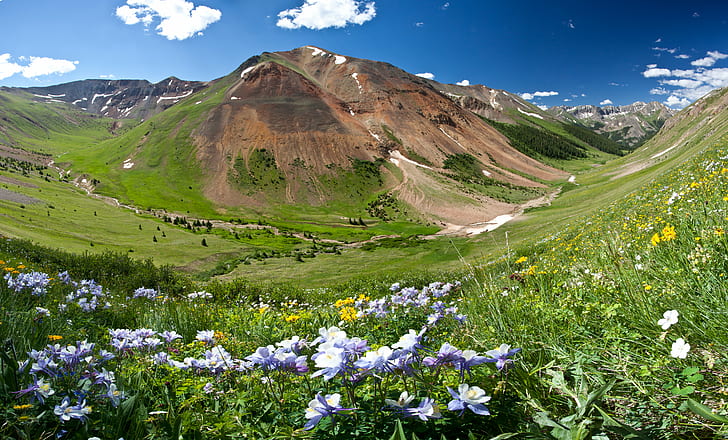 landscape photography of mountain with flower at daytime, cloud peak, cloud peak, Red Cloud, Cloud Peak, WSA, landscape photography, mountain, flower, daytime, NLCS, colorado, national, conservation, lands, BLM, Bureau of Land Management, wilderness study area, Cooper Lake, Trail, nature, summer, meadow, landscape, outdoors, scenics, grass, green Color, HD wallpaper