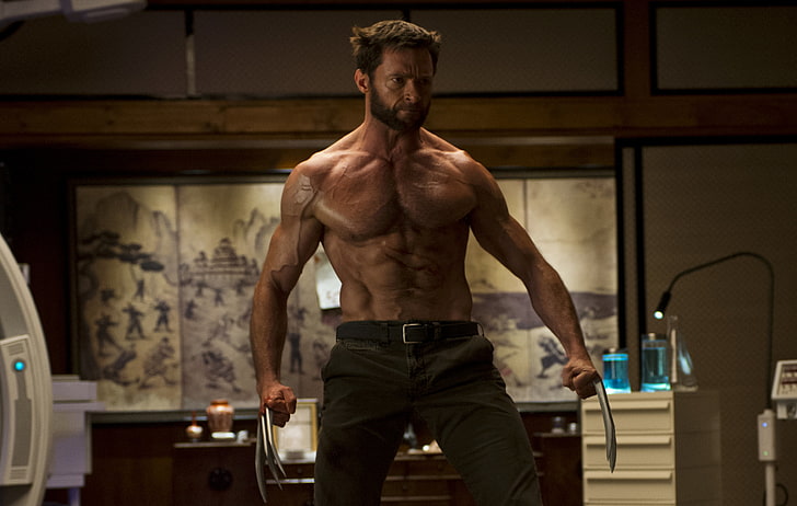 James Howlett, Wolverine, Hugh Jackman, Logan, The Wolverine, Unsterblich, HD-Hintergrundbild