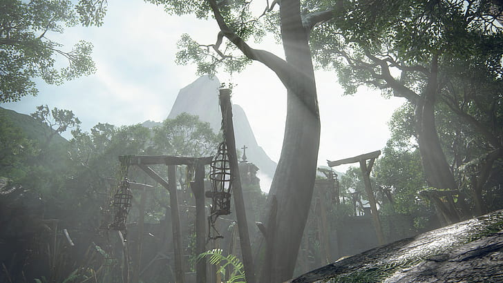 Uncharted 4: A Thief's End, galge, träd, berg, natur, dagsljus, fåglar, kors, uncharted, HD tapet