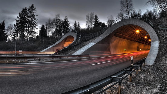 il tempo è scaduto fotografia della strada del tunnel circondata da alberi, strada, tunnel, colorazione selettiva, sentieri di luce, all'aperto, Sfondo HD HD wallpaper