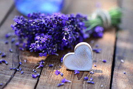 flores púrpuras, mesa, ramo, corazón, lavanda, Fondo de pantalla HD HD wallpaper