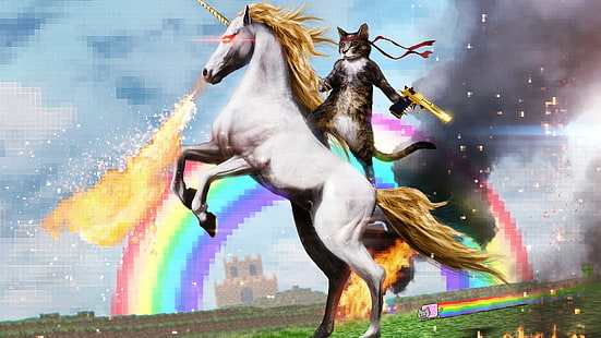 cat, cats, fantasy, fi, funny, sci, Unicorn, wtf, วอลล์เปเปอร์ HD HD wallpaper