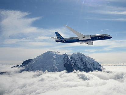787、787-9、旅客機、飛行機、ボーイング、ドリームライナー、ジェット、輸送、 HDデスクトップの壁紙 HD wallpaper