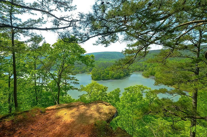 Arkansas, EUA natureza, lote de árvores, Arkansas, EUA, céu, montanhas, lago, floresta, árvores, verão, HD papel de parede