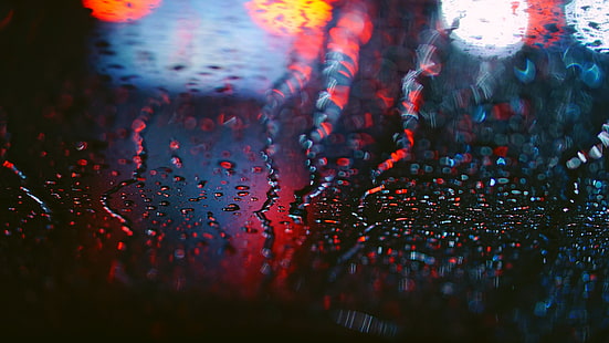 water dews, macro, water drops, rain, bokeh, depth of field, HD wallpaper HD wallpaper