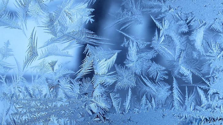 embun beku, musim dingin, beku, es, abstrak, Wallpaper HD