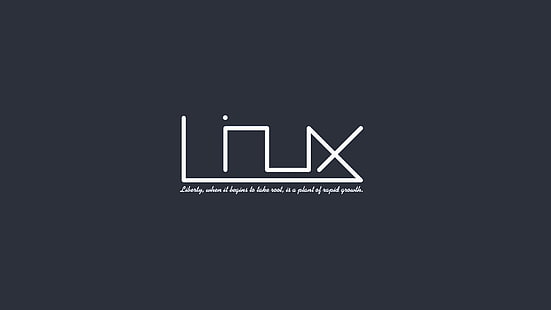 Лого на Linux, Linux, операционна система, HD тапет HD wallpaper