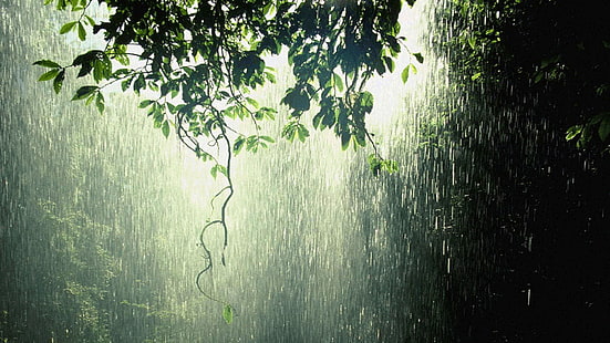 구름, 비, 비가, 슬픔, 물방울, HD 배경 화면 HD wallpaper