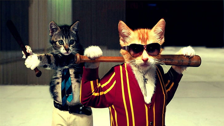 แมวตลกตลกแมว, วอลล์เปเปอร์ HD