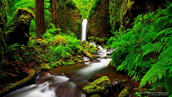 Крийк Ръкел, дефилето на река Колумбия, Орегон, водопади, HD тапет HD wallpaper
