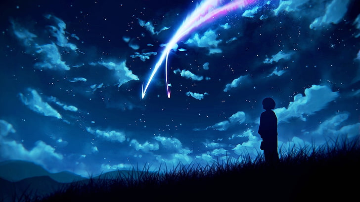 silhueta da pessoa que está na ilustração da grama, Anime, seu nome., Kimi No Na Wa., Mitsuha Miyamizu, HD papel de parede