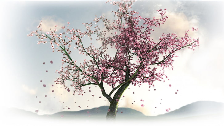 cherry blossom tree illustration, flowers, tree, spring, Sakura, HD wallpaper