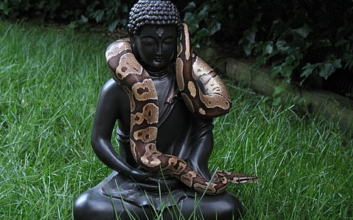 черна статуя на Буда Гаутама, Влечуги, Змия, HD тапет HD wallpaper