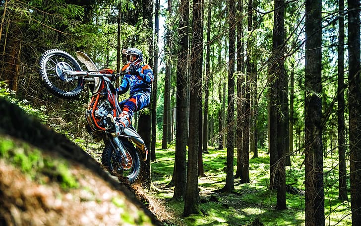 forest, trees, vehicle, motocross, racing, HD wallpaper