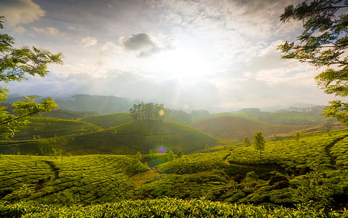 Munnar Hills Kerala India HD, ธรรมชาติ, ภูมิทัศน์, เนินเขา, อินเดีย, เกรละ, มันนาร์, วอลล์เปเปอร์ HD HD wallpaper