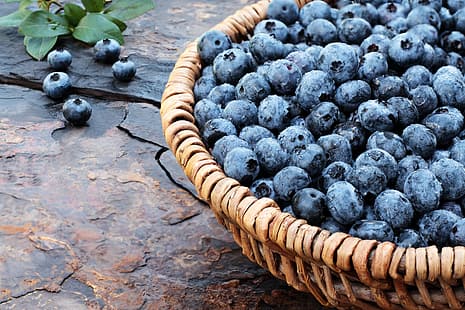 berry, blueberry, keranjang, segar, kayu, blueberry, Wallpaper HD HD wallpaper