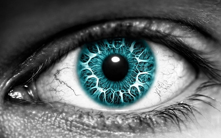 العين الزرقاء والسوداء البشرية ، العيون ، العيون الزرقاء، خلفية HD