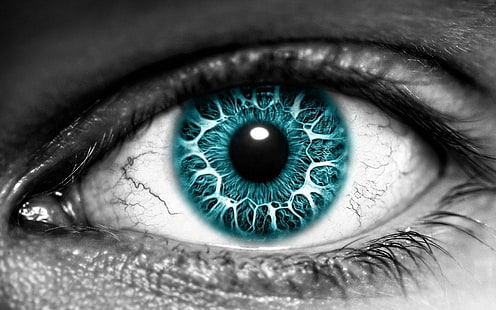 العين الزرقاء والسوداء البشرية ، العيون ، العيون الزرقاء، خلفية HD HD wallpaper