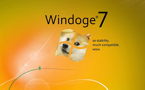 ドージェ、ミーム、Microsoft Windows、芝犬、Windows 7、 HDデスクトップの壁紙 HD wallpaper