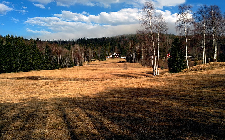 Clôture en bois brun et blanc, Suède, Sidsjö, herbe, maison, arbres, Sundsvall, Fond d'écran HD