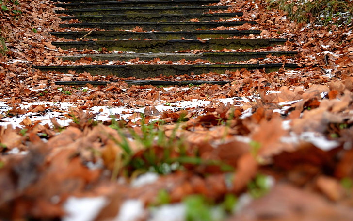 pasos de otoño follaje nieve-paisaje natural HD wal .., escaleras de hormigón negro, Fondo de pantalla HD