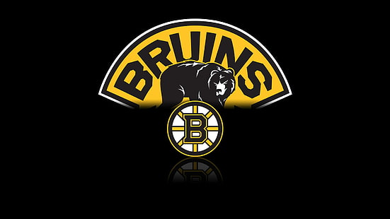 Boston, Bruins, Hockey, LNH, Fond d'écran HD HD wallpaper