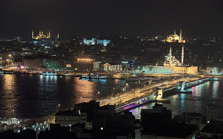 Istanbul's Magical Night Turkey, turkey, bridge, magical, istanbul, galata, night, animals, HD wallpaper