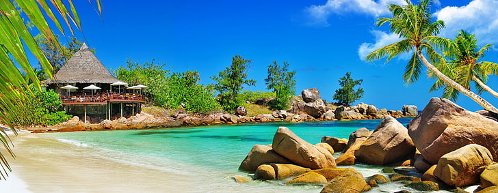 fondo de pantalla digital de isla, arena, mar, playa, palmeras, costa, mirador, el mar, un mirador, Fondo de pantalla HD
