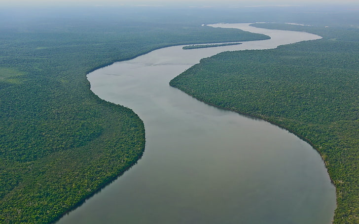 амазонка, америка, природа, река, юг, HD обои