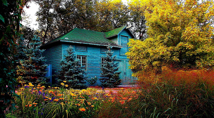Retour dans le temps, maison en bois bleue, Vintage, beau, jardin, fleurs, arbres, maison, plantes, vieille maison, Fond d'écran HD