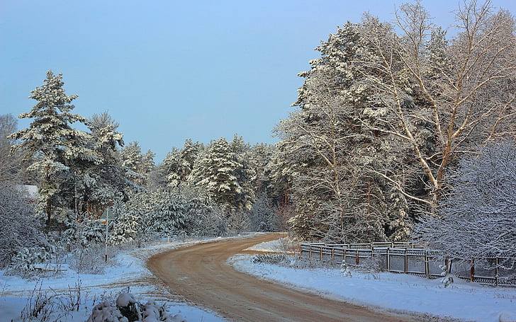 *** Winter Road Through The Forest ***, forest, nature, winter, road, nature and landscapes, HD wallpaper