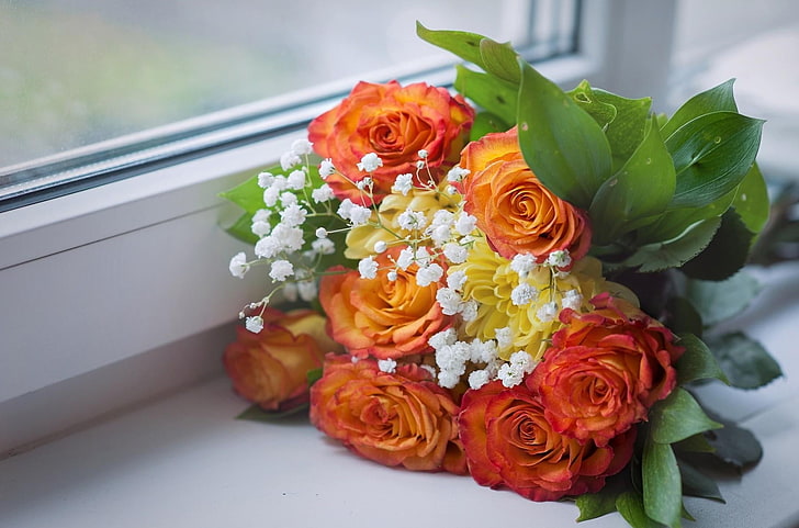 оранжевый цветок с лепестками, розы, детское дыхание, букет, подоконник, окно, HD обои