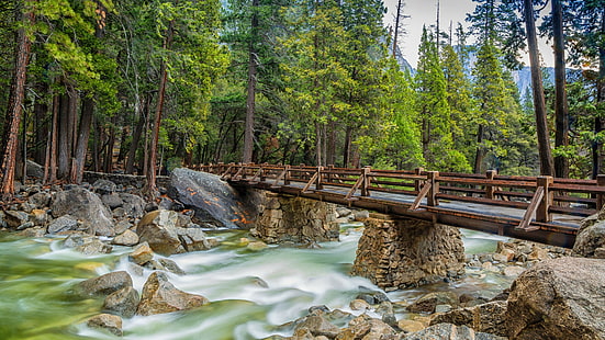 gångbro, vatten, natur, Yosemite National Park, träd, vildmark, ström, gångbro, nationalpark, växt, flod, landskap, merced river, Yosemite Valley, skog, sten, HD tapet HD wallpaper