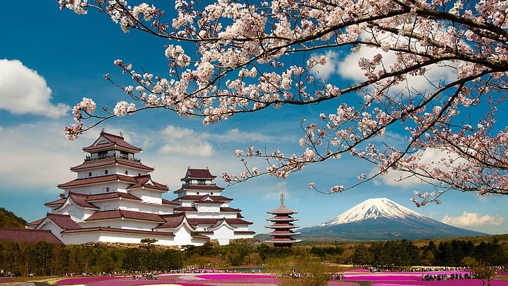china, blossom, spring, mountain, life, HD wallpaper