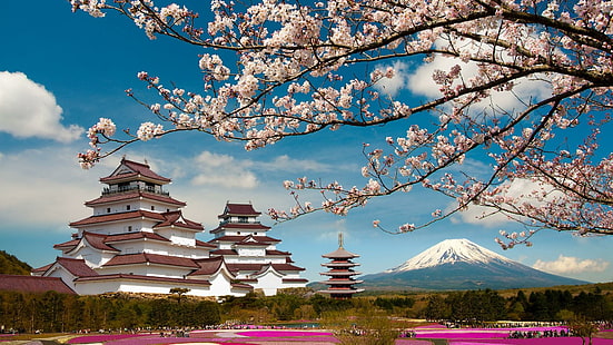 chine, fleur, printemps, montagne, vie, Fond d'écran HD HD wallpaper