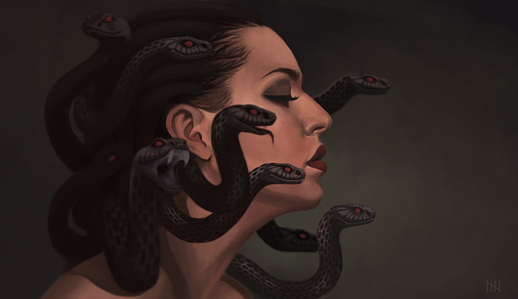Medusa wallpaper, snakes, art, profile, gargona, Medusa, HD wallpaper |  Wallpaperbetter