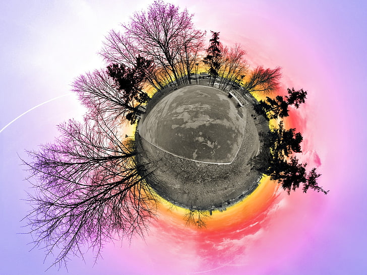 сива планета с дървета илюстрация, панорамна сфера, залез, дървета, HD тапет