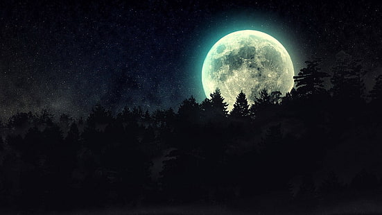 Earth, Moon, Dark, Forest, Night, Silhouette, HD wallpaper HD wallpaper