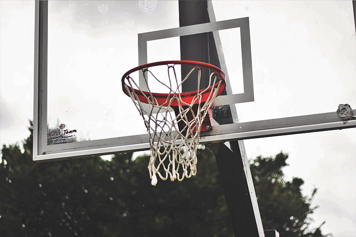 escudo de baloncesto, baloncesto, malla, Fondo de pantalla HD