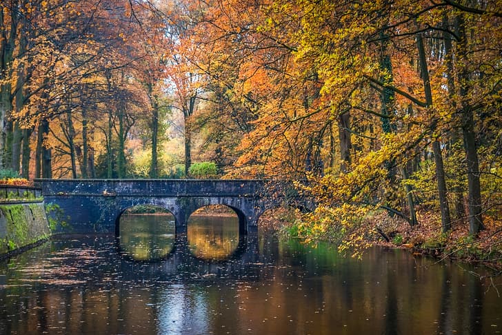 autumn, trees, bridge, Park, river, Netherlands, HD wallpaper