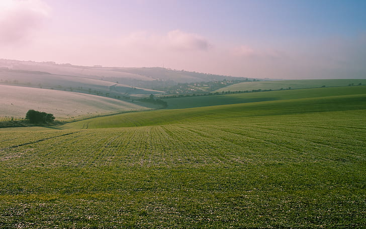 South Down Two, canoneos500d, close‑up, green, landscape, nature, photography, portrait, sigma30mmf/1.4, southdowns, HD wallpaper