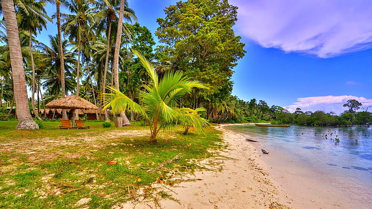 green palm plant, nature, landscape, beach, palm trees, grass, tropical, boat, sunshade, chair, sand, sea, HD wallpaper
