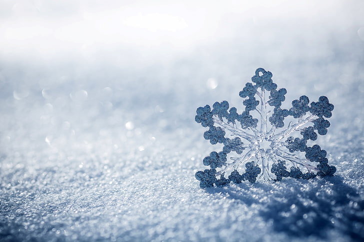 white snowflake wallpaper, ice, winter, macro, snow, nature, snowflake, HD wallpaper