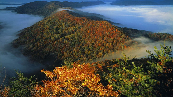 Туман в горах Кентукки, лес, холмы, осень, природа и пейзажи, HD обои
