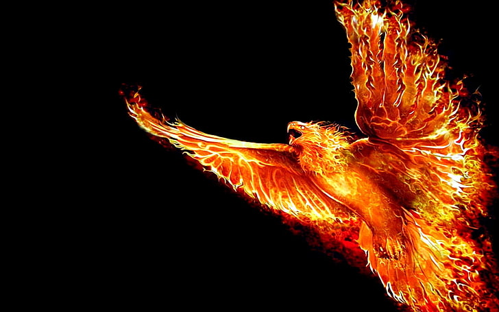 феникс, огонь, жар-птица, пламя, полет, феникс, HD обои