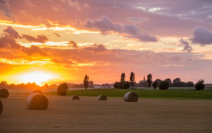 scenery of sunset during daytime, Sunset, Countryside, scenery, daytime, Söderslätt, cloud, hay, roll, landscape, landskap, sky, exif, model, canon eos, 760d, geo, country, camera, city, iso_speed, state, focal_length, 90 mm, lens, ef, s18, f/3.5, geo:location, aperture, ƒ / 5, canon, agriculture, nature, field, rural Scene, bale, farm, summer, landscaped, outdoors, harvesting, scenics, meadow, sunlight, crop, non-Urban Scene, cloud - Sky, yellow, land, wheat, sun, autumn, HD wallpaper