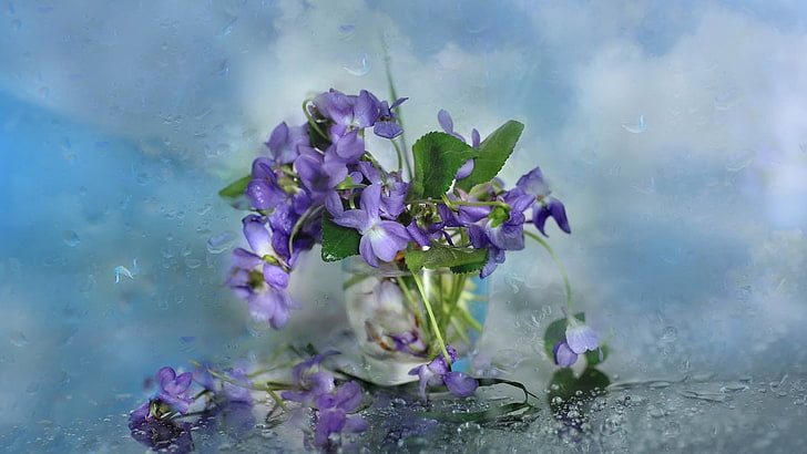 purple petaled flowers, flowers, glass, petals, HD wallpaper